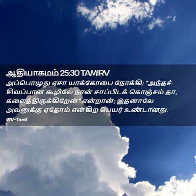 Picture 02 - ஆதியாகமம் 25:30 TAMIRV - அப்பொழுது ஏசா - Bible Verse Picture