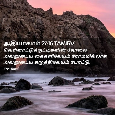 Picture 02 - ஆதியாகமம் 27:16 TAMIRV -  - Bible Verse Picture
