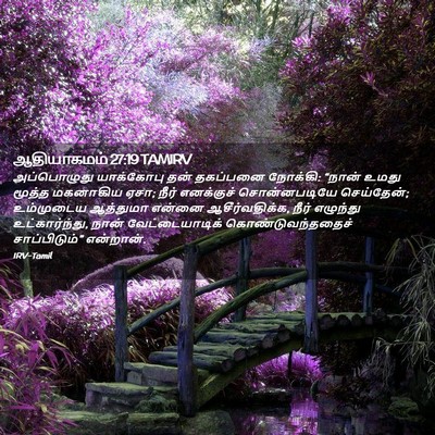 Picture 02 - ஆதியாகமம் 27:19 TAMIRV - அப்பொழுது - Bible Verse Picture