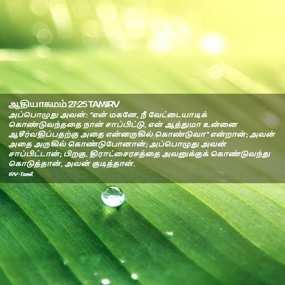 Picture 02 - ஆதியாகமம் 27:25 TAMIRV - அப்பொழுது அவன்: - Bible Verse Picture