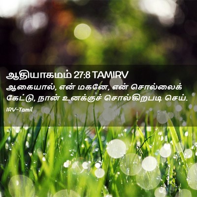 Picture 02 - ஆதியாகமம் 27:8 TAMIRV - ஆகையால், என் மகனே, - Bible Verse Picture