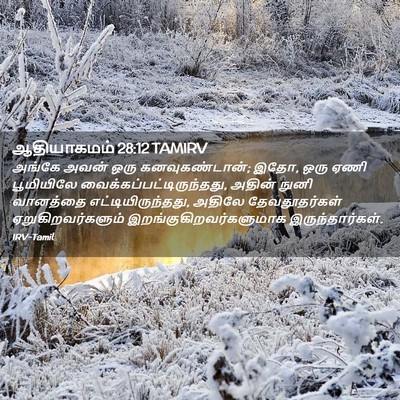 Picture 02 - ஆதியாகமம் 28:12 TAMIRV - அங்கே அவன் ஒரு - Bible Verse Picture