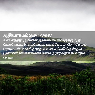 Picture 02 - ஆதியாகமம் 28:14 TAMIRV - உன் சந்ததி - Bible Verse Picture