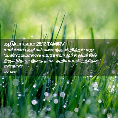 Picture 02 - ஆதியாகமம் 28:16 TAMIRV - யாக்கோபு தூக்கம் - Bible Verse Picture