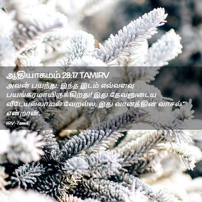 Picture 02 - ஆதியாகமம் 28:17 TAMIRV - அவன் பயந்து, இந்த - Bible Verse Picture