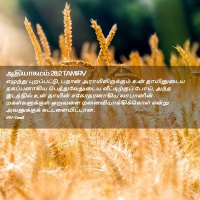 Picture 02 - ஆதியாகமம் 28:2 TAMIRV - எழுந்து - Bible Verse Picture