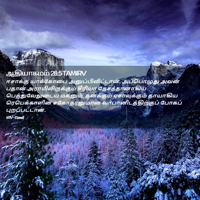 Picture 02 - ஆதியாகமம் 28:5 TAMIRV - ஈசாக்கு யாக்கோபை - Bible Verse Picture