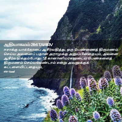 Picture 02 - ஆதியாகமம் 28:6 TAMIRV - ஈசாக்கு யாக்கோபை - Bible Verse Picture