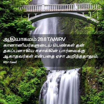 Picture 02 - ஆதியாகமம் 28:8 TAMIRV - கானானியர்களுடைய - Bible Verse Picture