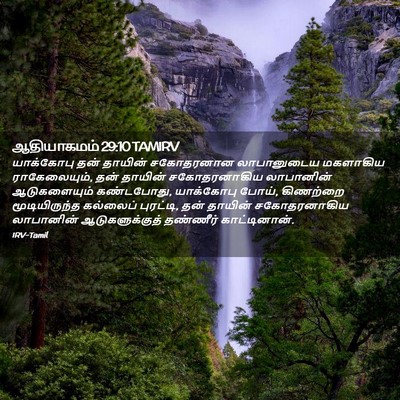 Picture 02 - ஆதியாகமம் 29:10 TAMIRV - யாக்கோபு தன் - Bible Verse Picture