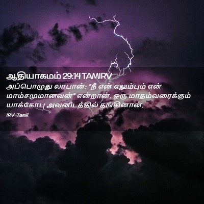 Picture 02 - ஆதியாகமம் 29:14 TAMIRV - அப்பொழுது லாபான்: - Bible Verse Picture