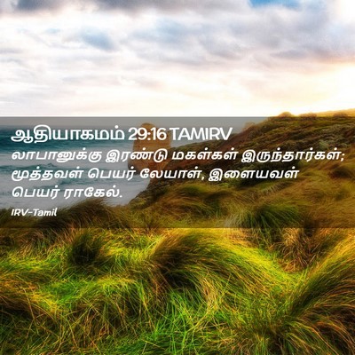 Picture 02 - ஆதியாகமம் 29:16 TAMIRV - லாபானுக்கு இரண்டு - Bible Verse Picture