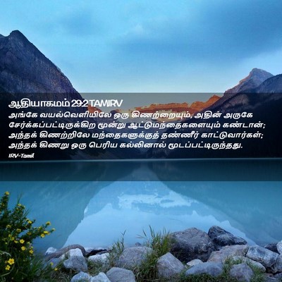 Picture 02 - ஆதியாகமம் 29:2 TAMIRV - அங்கே - Bible Verse Picture