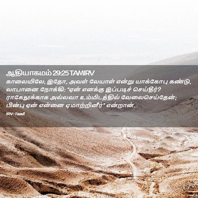 Picture 02 - ஆதியாகமம் 29:25 TAMIRV - காலையிலே, இதோ, அவள் - Bible Verse Picture
