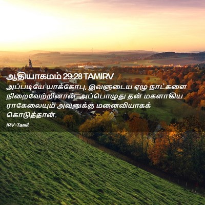 Picture 02 - ஆதியாகமம் 29:28 TAMIRV - அப்படியே - Bible Verse Picture
