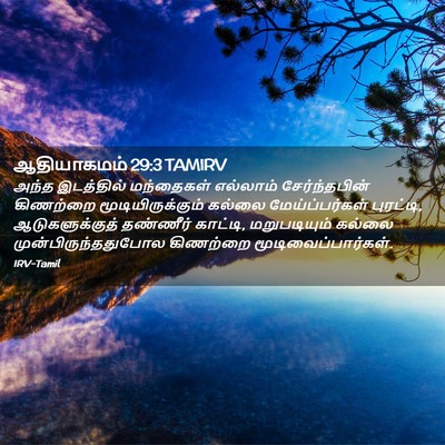 Picture 02 - ஆதியாகமம் 29:3 TAMIRV - அந்த இடத்தில் - Bible Verse Picture