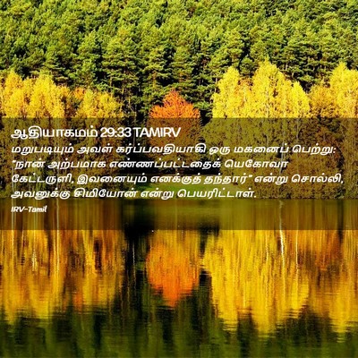 Picture 02 - ஆதியாகமம் 29:33 TAMIRV - மறுபடியும் அவள் - Bible Verse Picture