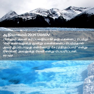 Picture 02 - ஆதியாகமம் 29:34 TAMIRV - பின்னும் அவள் - Bible Verse Picture