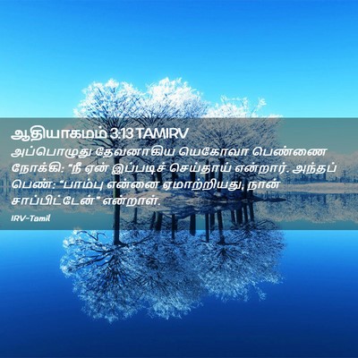 Picture 02 - ஆதியாகமம் 3:13 TAMIRV - அப்பொழுது - Bible Verse Picture