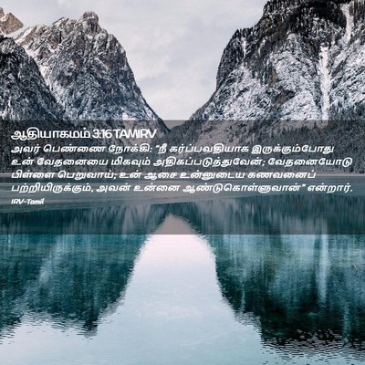 Picture 02 - ஆதியாகமம் 3:16 TAMIRV - அவர் பெண்ணை - Bible Verse Picture