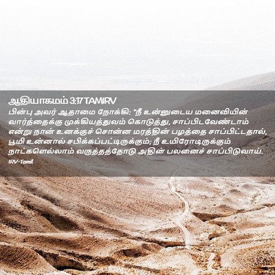 Picture 02 - ஆதியாகமம் 3:17 TAMIRV - பின்பு அவர் ஆதாமை - Bible Verse Picture