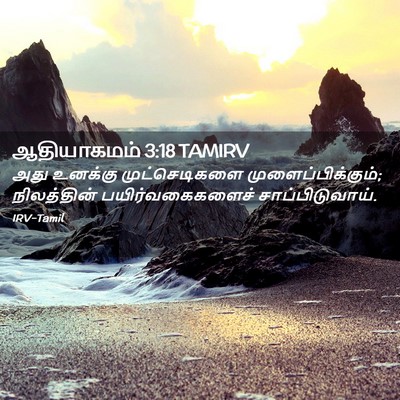 Picture 02 - ஆதியாகமம் 3:18 TAMIRV - அது உனக்கு - Bible Verse Picture