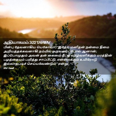 Picture 02 - ஆதியாகமம் 3:22 TAMIRV - பின்பு தேவனாகிய - Bible Verse Picture