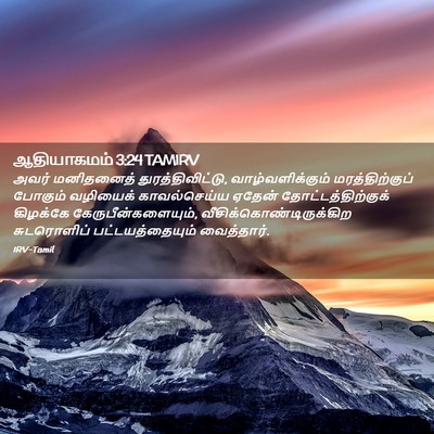 Picture 02 - ஆதியாகமம் 3:24 TAMIRV - அவர் மனிதனைத் - Bible Verse Picture