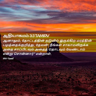 Picture 02 - ஆதியாகமம் 3:3 TAMIRV - ஆனாலும், - Bible Verse Picture