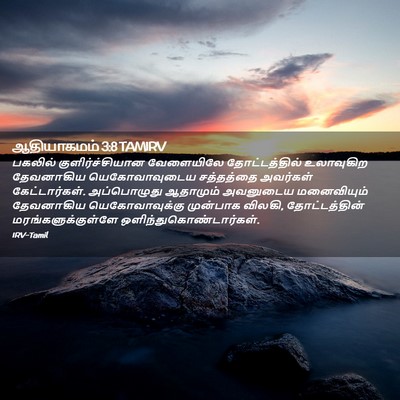 Picture 02 - ஆதியாகமம் 3:8 TAMIRV - பகலில் - Bible Verse Picture