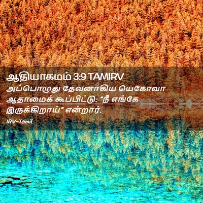 Picture 02 - ஆதியாகமம் 3:9 TAMIRV - அப்பொழுது - Bible Verse Picture