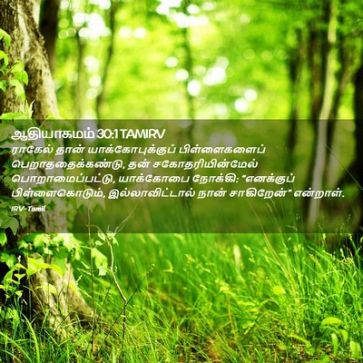 Picture 02 - ஆதியாகமம் 30:1 TAMIRV - ராகேல் தான் - Bible Verse Picture