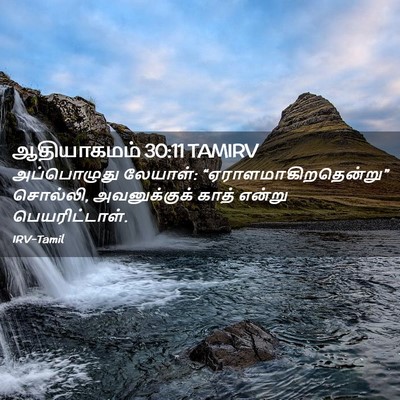 Picture 02 - ஆதியாகமம் 30:11 TAMIRV - அப்பொழுது லேயாள்: - Bible Verse Picture