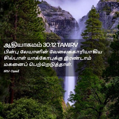 Picture 02 - ஆதியாகமம் 30:12 TAMIRV - பின்பு லேயாளின் - Bible Verse Picture