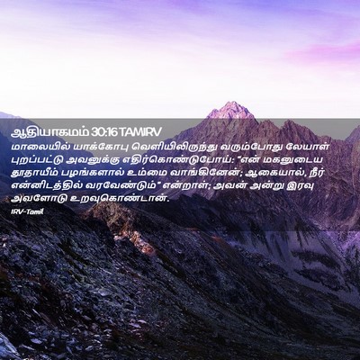 Picture 02 - ஆதியாகமம் 30:16 TAMIRV - மாலையில் யாக்கோபு - Bible Verse Picture
