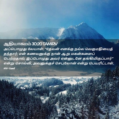Picture 02 - ஆதியாகமம் 30:20 TAMIRV - அப்பொழுது லேயாள்: - Bible Verse Picture
