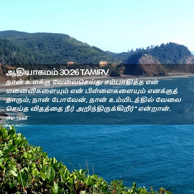 Picture 02 - ஆதியாகமம் 30:26 TAMIRV - நான் உமக்கு - Bible Verse Picture