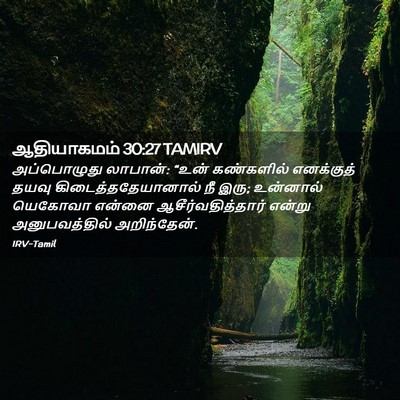 Picture 02 - ஆதியாகமம் 30:27 TAMIRV - அப்பொழுது லாபான்: - Bible Verse Picture