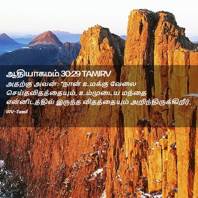 Picture 02 - ஆதியாகமம் 30:29 TAMIRV - அதற்கு அவன்: “நான் - Bible Verse Picture