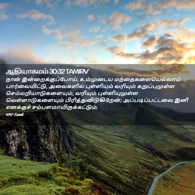 Picture 02 - ஆதியாகமம் 30:32 TAMIRV - நான் - Bible Verse Picture