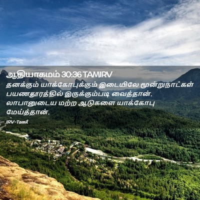 Picture 02 - ஆதியாகமம் 30:36 TAMIRV - தனக்கும் - Bible Verse Picture