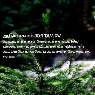 Picture 02 - ஆதியாகமம் 30:4 TAMIRV - அவனுக்குத் தன் - Bible Verse Picture