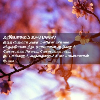 Picture 02 - ஆதியாகமம் 30:43 TAMIRV - இந்த விதமாக அந்த - Bible Verse Picture
