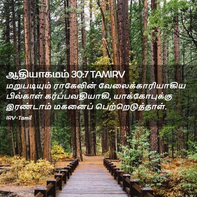 Picture 02 - ஆதியாகமம் 30:7 TAMIRV - மறுபடியும் - Bible Verse Picture