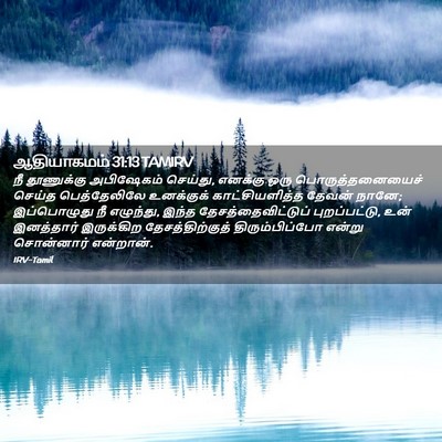 Picture 02 - ஆதியாகமம் 31:13 TAMIRV - நீ தூணுக்கு - Bible Verse Picture