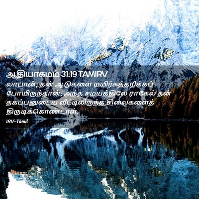 Picture 02 - ஆதியாகமம் 31:19 TAMIRV - லாபான், தன் ஆடுகளை - Bible Verse Picture