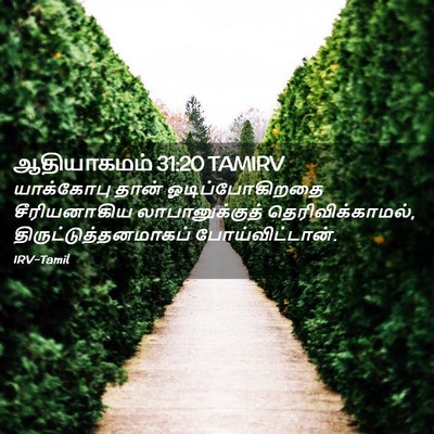 Picture 02 - ஆதியாகமம் 31:20 TAMIRV - யாக்கோபு தான் - Bible Verse Picture