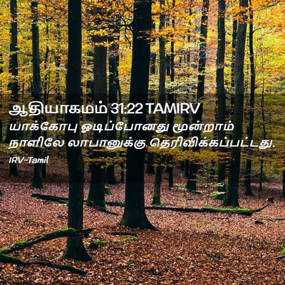 Picture 02 - ஆதியாகமம் 31:22 TAMIRV - யாக்கோபு - Bible Verse Picture