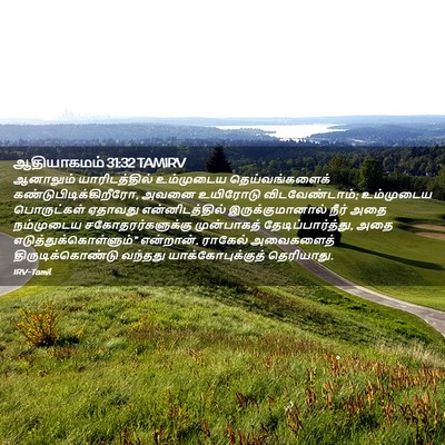 Picture 02 - ஆதியாகமம் 31:32 TAMIRV - ஆனாலும் - Bible Verse Picture
