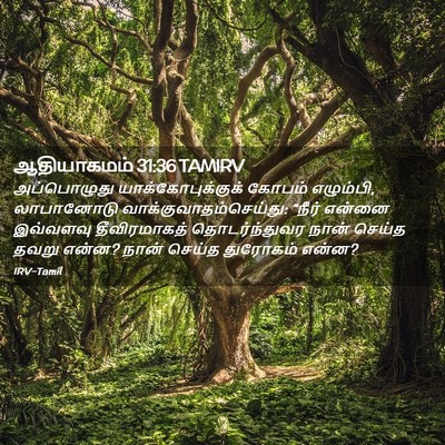 Picture 02 - ஆதியாகமம் 31:36 TAMIRV - அப்பொழுது - Bible Verse Picture